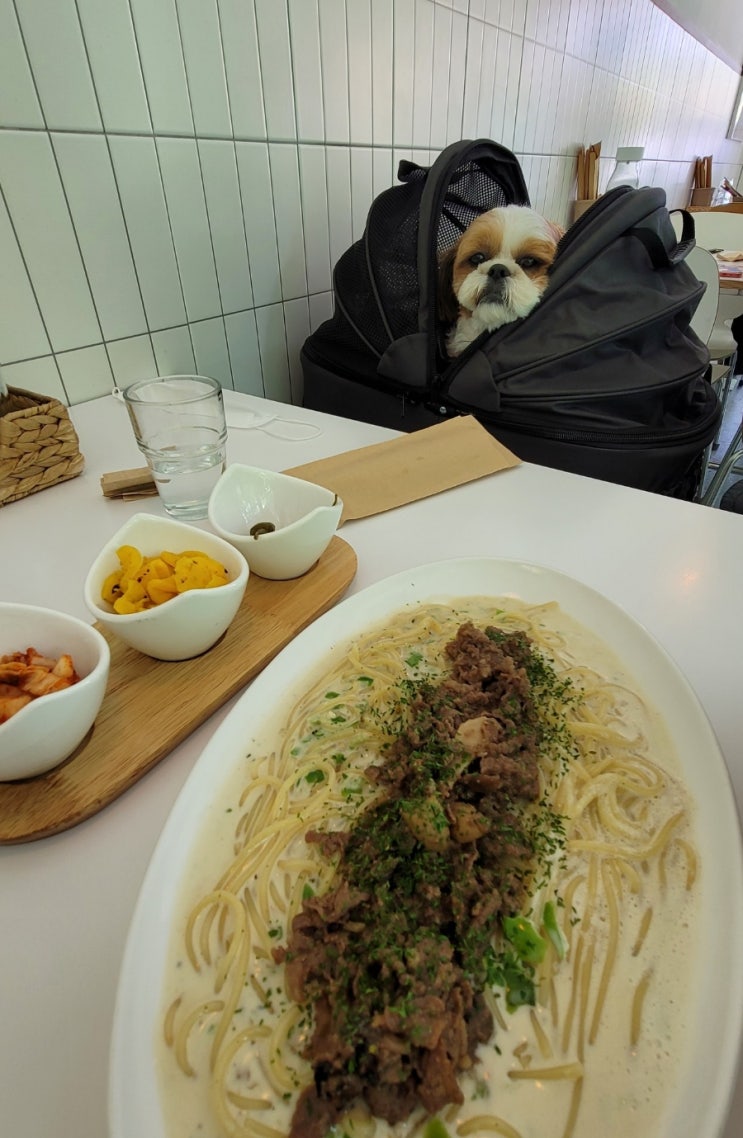  강릉 애견동반식당 정감, 강아지랑 맛있게 즐긴 한 끼