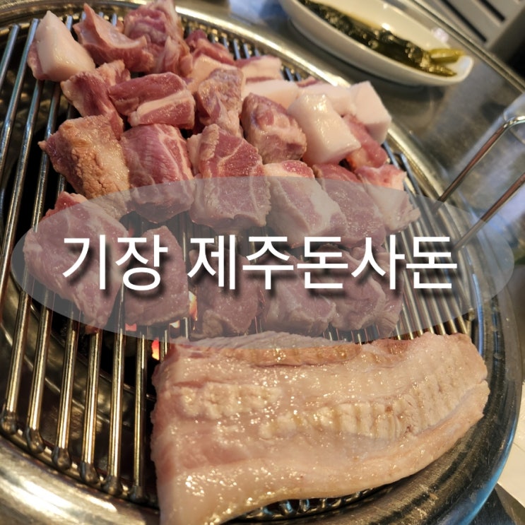  기장맛집 제주흑돼지 돈사돈 이런육즙은 처음이야