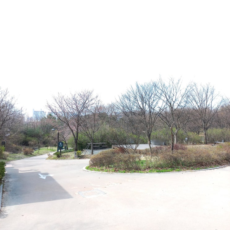  중랑숲캠핑장 예약 일반바베큐장에서도 힐링