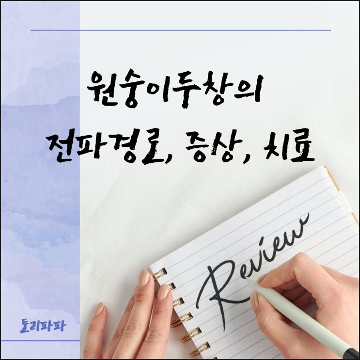 코로나19, 홍역과 같은 2급 감염병 원숭이두창의 전파경로, 증상, 치료