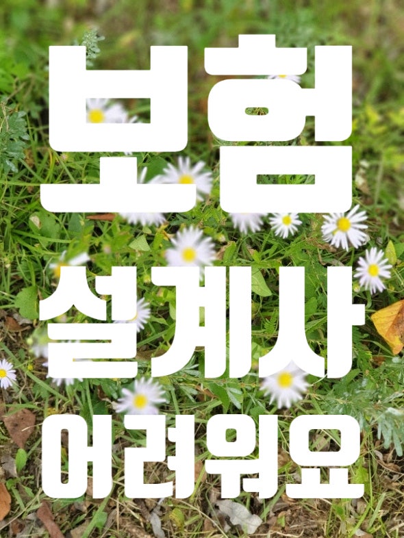 보험설계사 인식에 대한 개인적인 생각