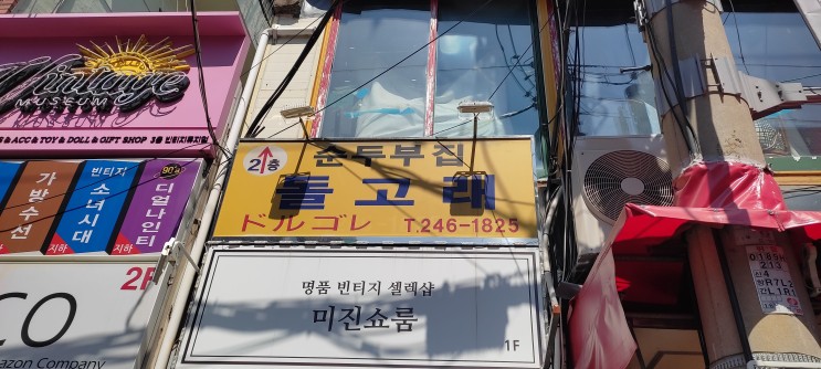 [중구 맛집] 부산 필수 맛집 "돌고래"_내돈내산