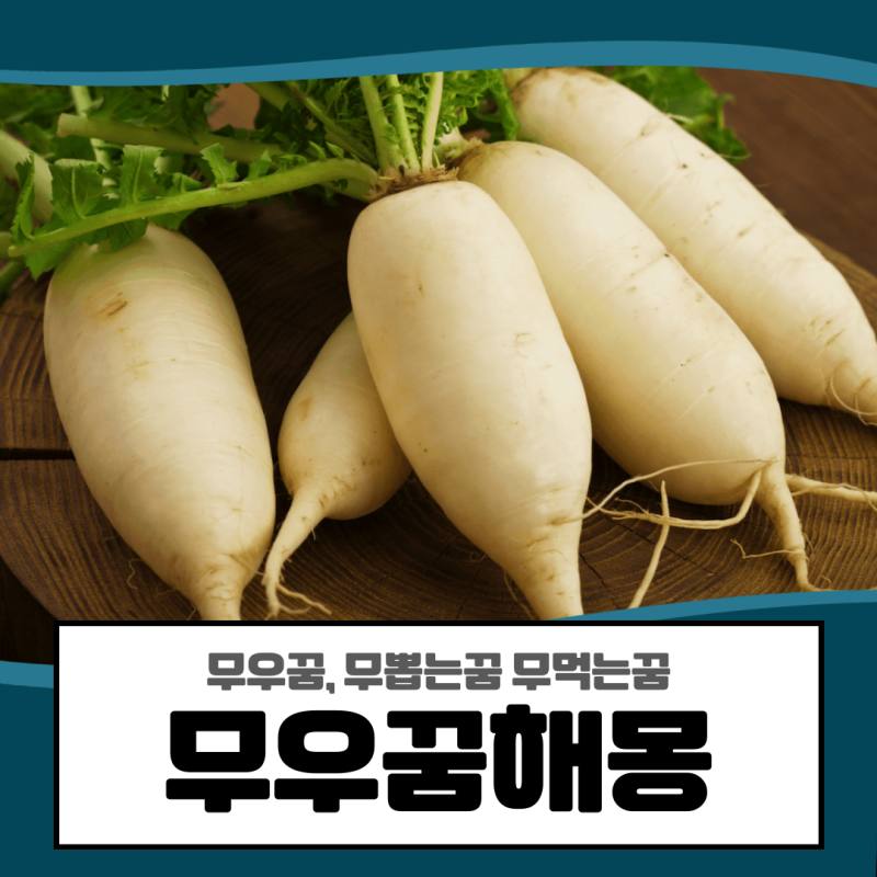 무우꿈, 무뽑는꿈 무먹는꿈 등 무우꿈해몽 풀이