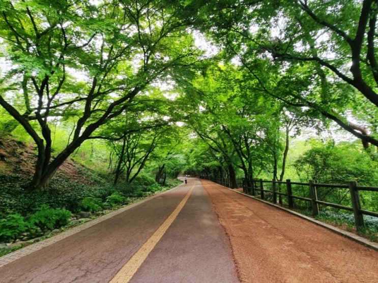  회사 산악회 남산 산행과 충무로 저녁 식사