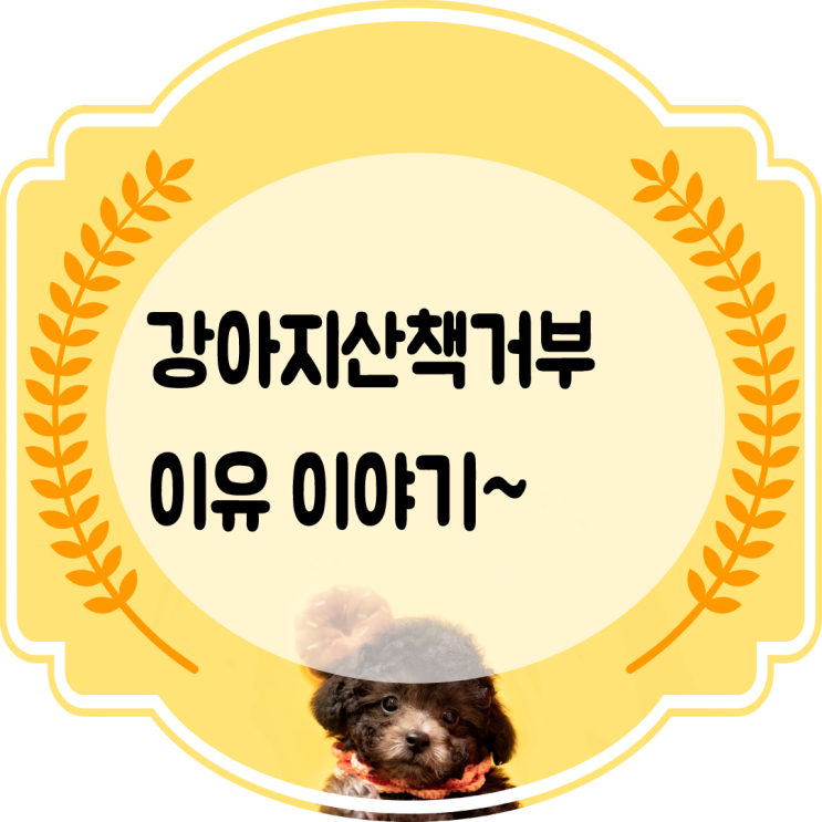  강아지 산책 거부 이유 이야기~!
