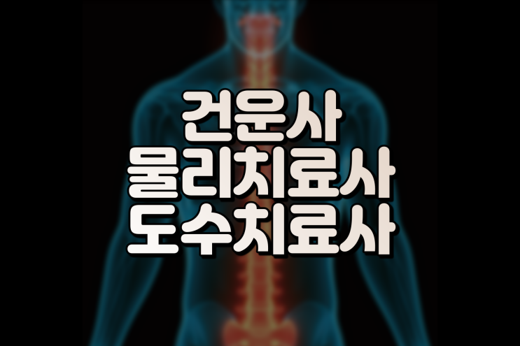  건강운동관리사 물리치료사 도수치료사 자격증 차이점, 되는법 정리했어요. (feat. 체육학과 진로)