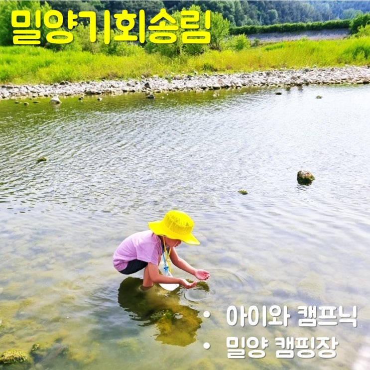  대구근교 캠프닉 밀양기회송림 공원 캠핑장