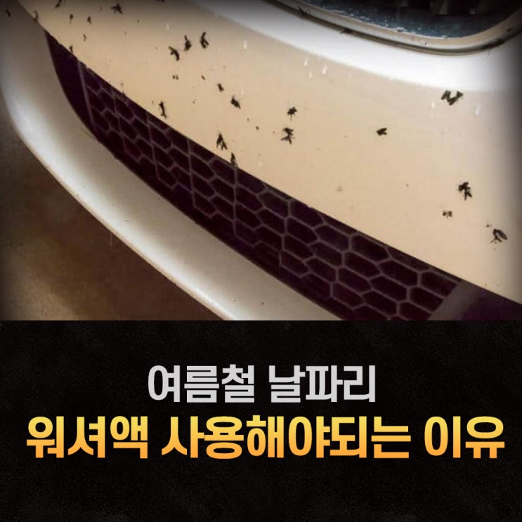  총체적 난국인 자동차 앞유리 벌레제거 어떻게 빠르게 지울까?