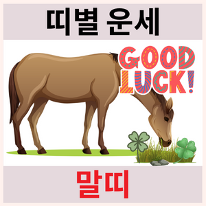  띠 궁합 운세 나이 성격 테스트 1편