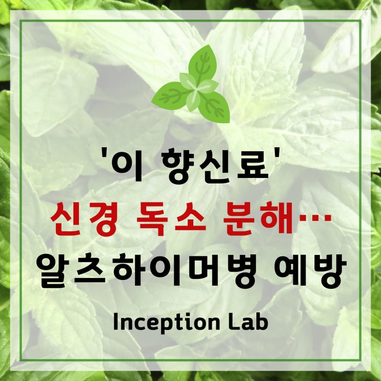  알츠하이머병 예방할 수 있는 향신료가 있다. 신경 독소 분해인 '이 향신료'