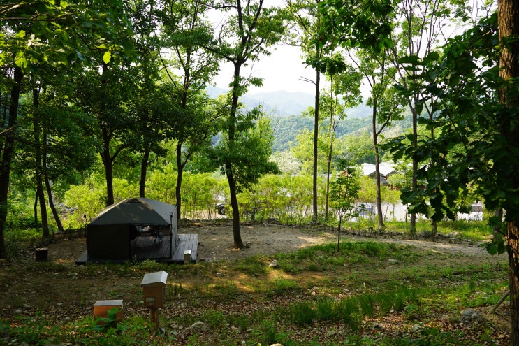  이번엔 혼자간 고대산자연휴양림 캠핑 후기