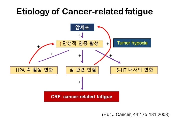  피로이야기(5), 암관련피로 CRF(cancer-related fatigue), 암치료와 운동요법