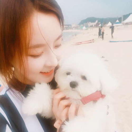  정유미 단발머리 헤어스타일 내 얼굴형과 잘어울릴까?