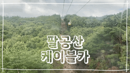  [대구] 가볼만한곳 팔공산케이블카 정상산책로