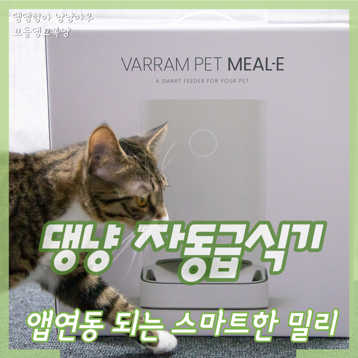  고양이자동급식기 앱연동 되는 스마트한 바람펫 밀리로 관리하자
