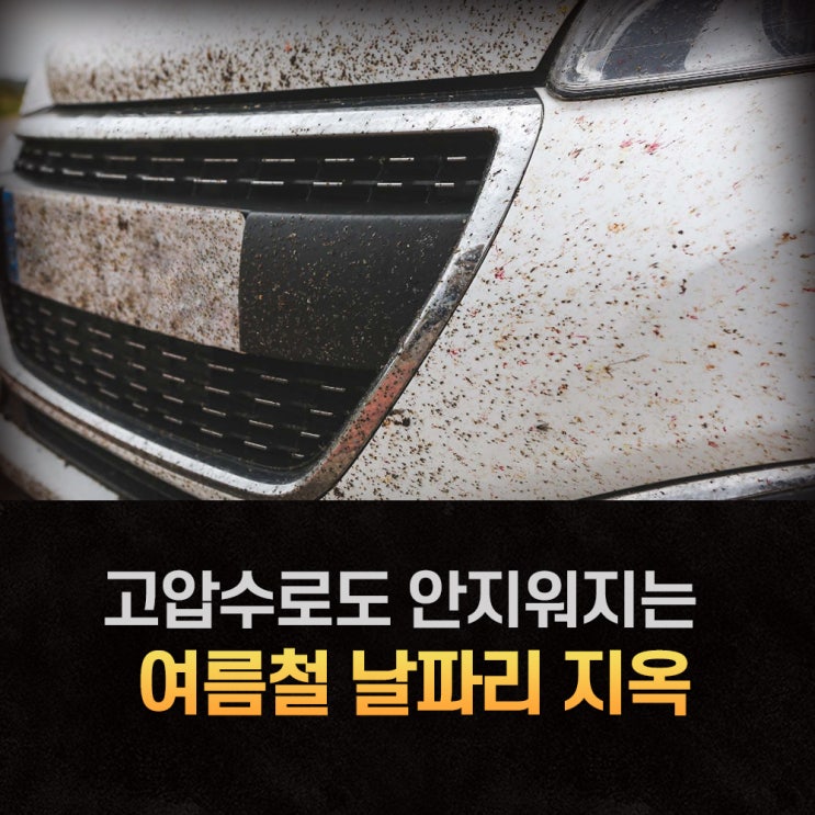  벌레사체 고압수로도 안지워질 때 사용 했던 버그클리너