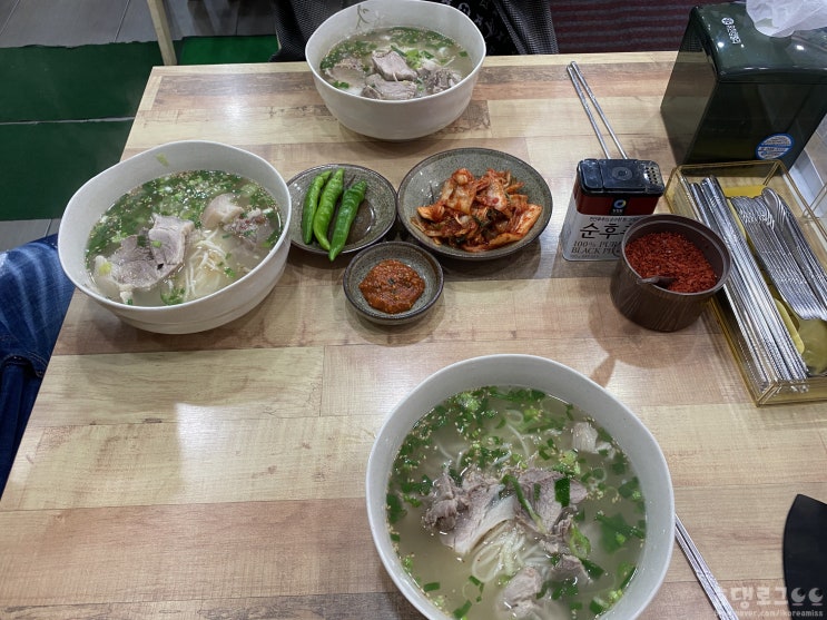 제주 맛집 올래국수｜위치, 주차, 메뉴, 가격, 맛