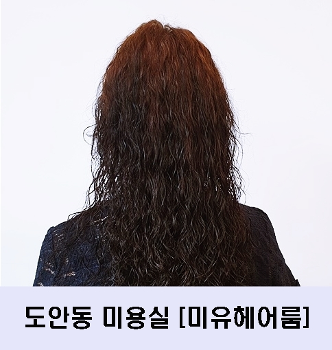 도안동 미용실 가수원동 미용실 미유헤어룸 뿌리염색  잘하는 곳