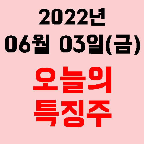  오늘의 시장 특징주 2022년 06월 03일(금)