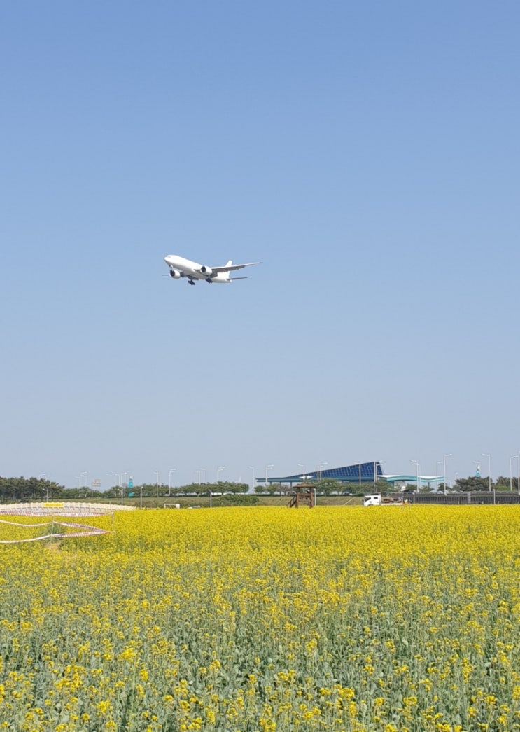 인천공항 24시운영(6월8일~),해외입국백신미접종자 자가격리 의무해제-해외여행시 인천공항콜밴이용하세요(해외골프여행,가족여행) 인천공항 24시운영(6월8일~),해외입국백신미접종자 자가격리 의무해제-해외여행시 인천공항콜밴이용하세요(해외골프여행,가족여행)