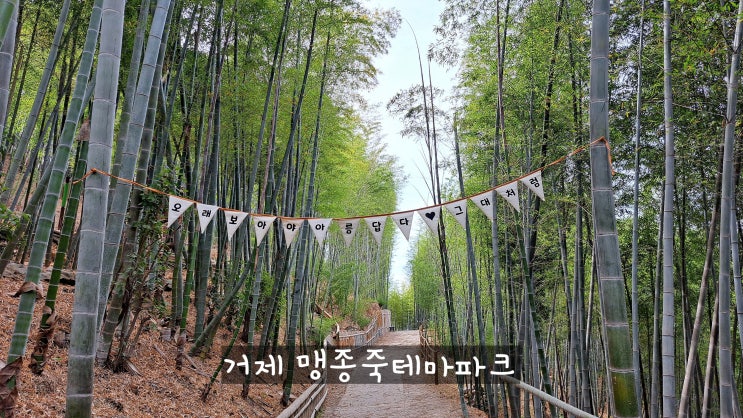  거제 아이들과 가볼만한 곳, 거제 맹종죽테마파크