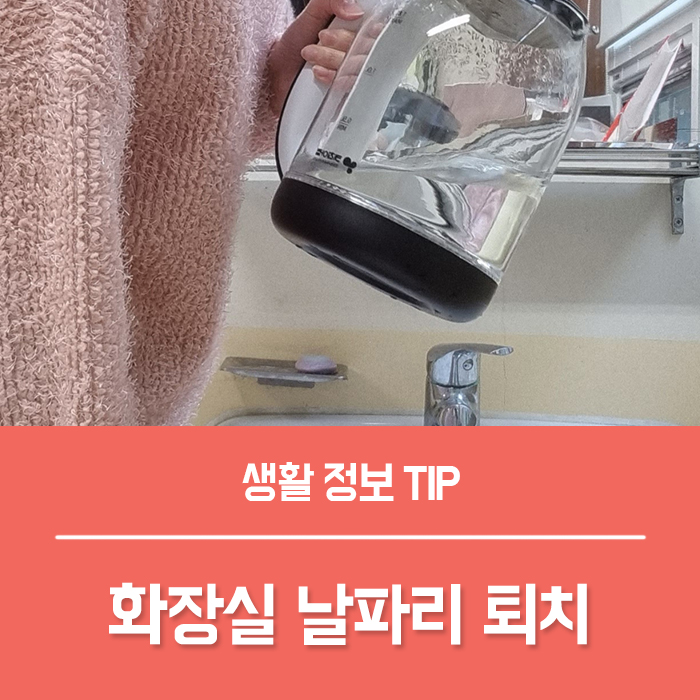  화장실 하수구 날파리 화분 식물 날파리 퇴치하기 BEST 7