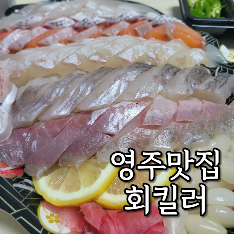  영주 횟집 맛집 회킬러 맘카페 추천으로 주문 ! 두둥 !