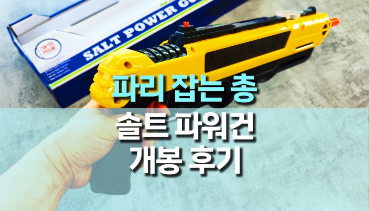 파리, 모기, 벌레 잡는 총 (솔트 파워 건 ) 개봉 후기 파리, 모기, 벌레 잡는 총 (솔트 파워 건 ) 개봉 후기