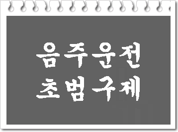  음주운전 초범 구제 이의신청 행정심판에 대하여