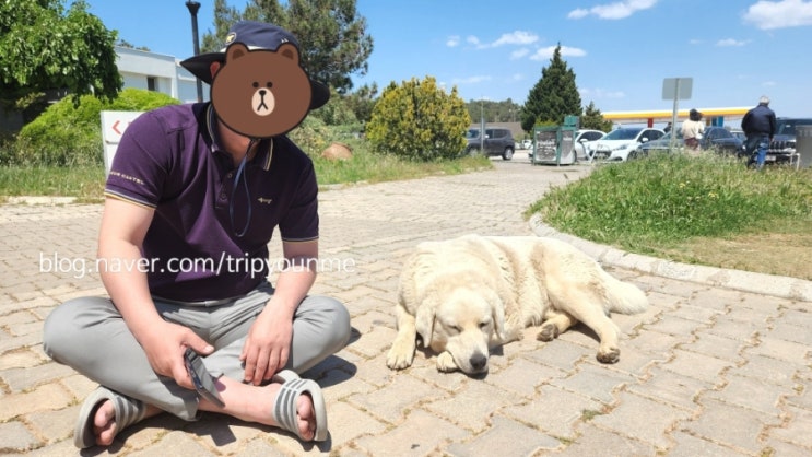  [7일차+1] 오늘은 꼭 PCR검사! 터키에서 pcr검사하기