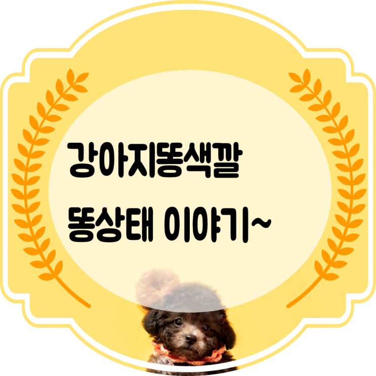  강아지똥색깔 강아지똥상태 으로 구분하는 건강 이야기