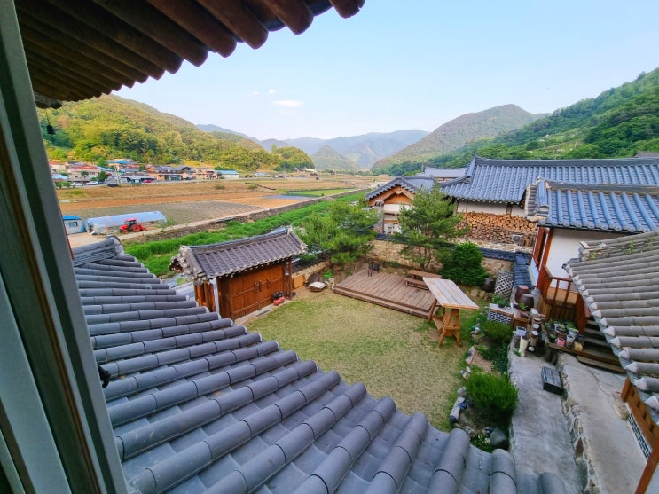 단양 여행 숙소 추천 : 예쁜 한옥 감성숙소 후기<대송한옥>