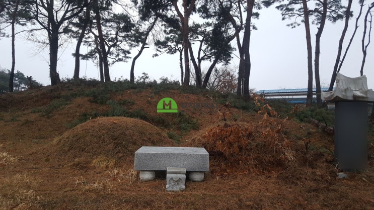  익산 윤달 묘지이장 석관을 사용한 산소개장과 상석 처리 비용