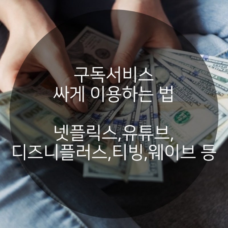 구독서비스 싸게 이용 하는 법 -넷플릭스,유튜브,디즈니플러스,티빙,웨이브 등 : 네이버 블로그