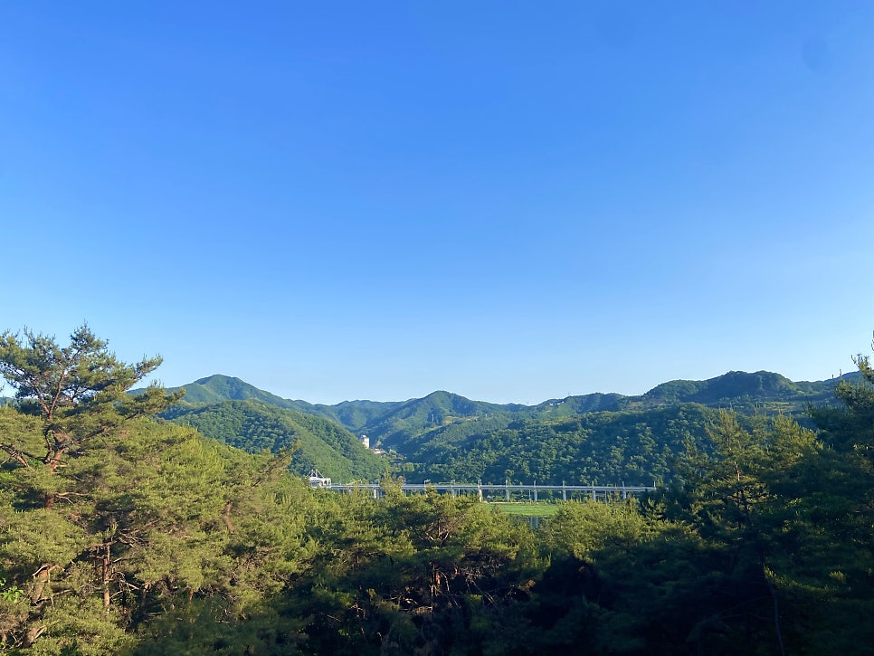 Neunggoleomnamutojongdak photo 3