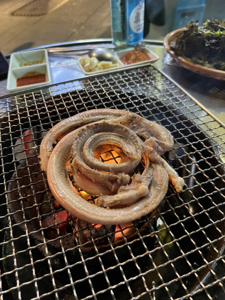  종로삼가역, 돈의동 맛집, 야장 꼼장어 <숯불꼼장어> 꼼장어