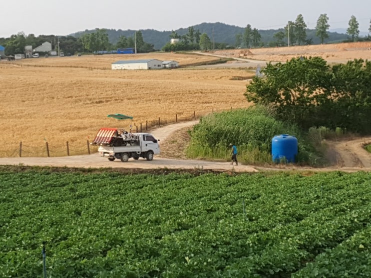 쓴 사이다 쓴 사이다