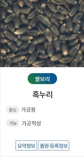 [보리]농촌진흥청 보도자료(색깔보리 품종,가공식품)