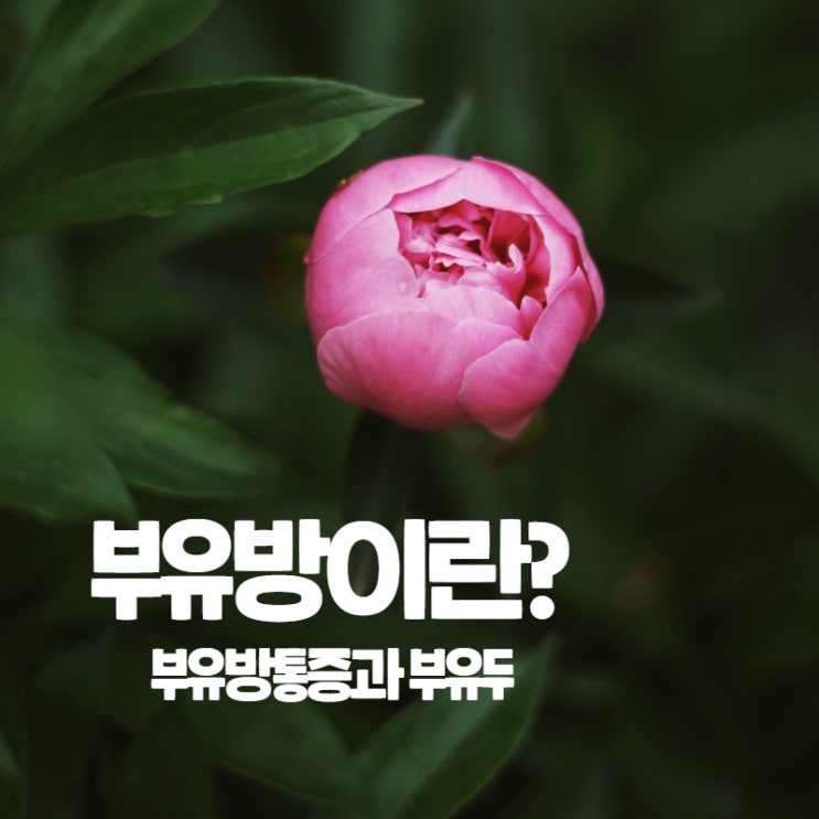  부유두 부유방빼기 통증 있는지 확인 후 제거