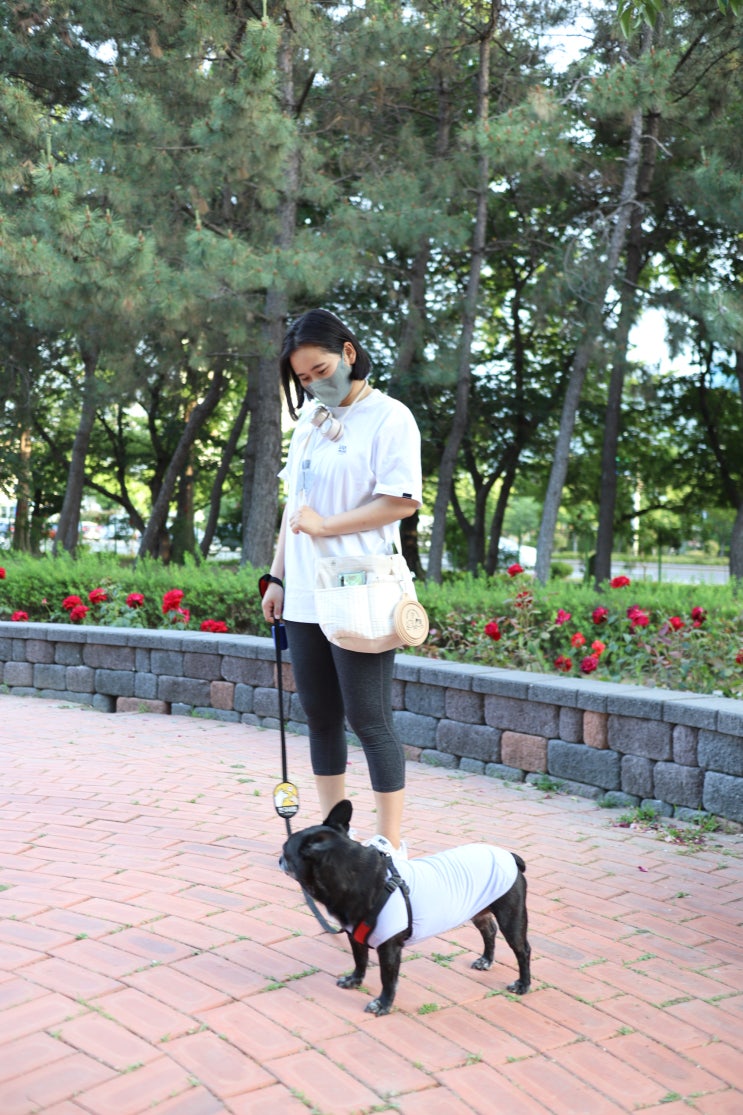  비마이펫 강아지 산책가방에 휴대용물컵도 걸어서 가지고 다니자