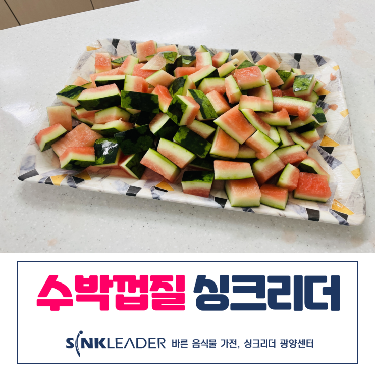  이승기 음식물처리기 수박껍질 싱크리더 사용후기와 영상