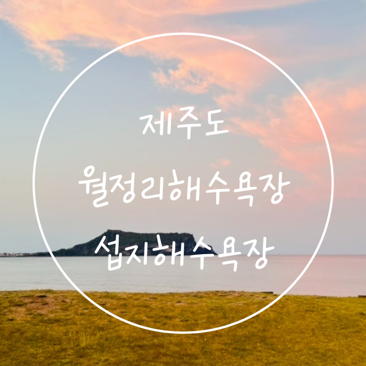  제주도 월정리해수욕장 섭지코지 신양섭지해수욕장 여행하기