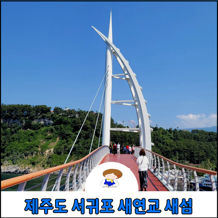 제주도 서귀포 가볼한곳 바다 제주 새연교 새섬 산책 및 서귀포 항 유람선 잠수함 요금 및 운항시간 제주도 서귀포 가볼한곳 바다 제주 새연교 새섬 산책 및 서귀포 항 유람선 잠수함 요금 및 운항시간