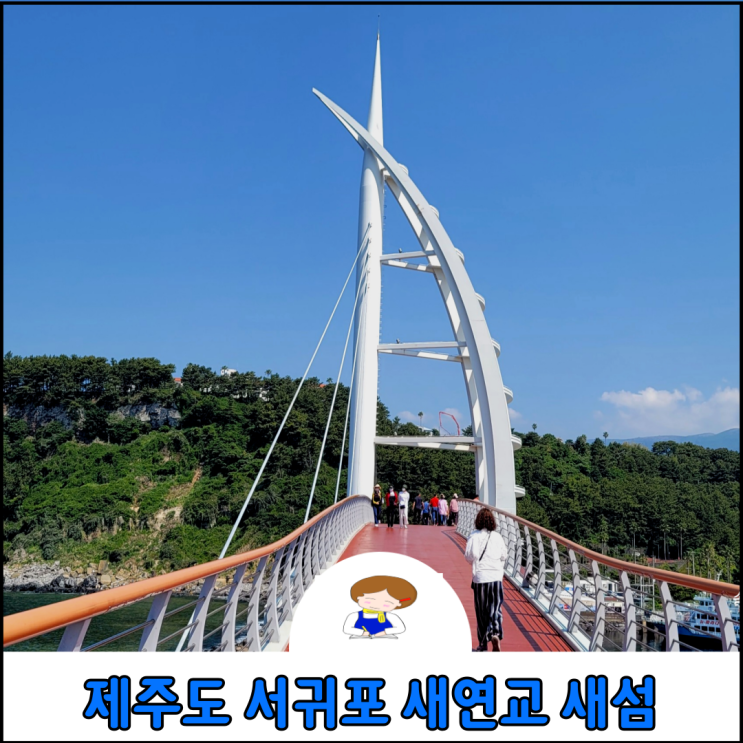 제주도 서귀포 가볼한곳 바다 제주 새연교 새섬  산책 및 서귀포 항 유람선 잠수함 요금 및 운항시간