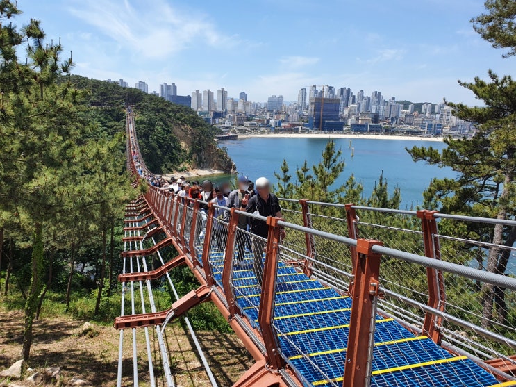  대왕암 출렁다리부터 대왕암공원 산책하기 좋아요