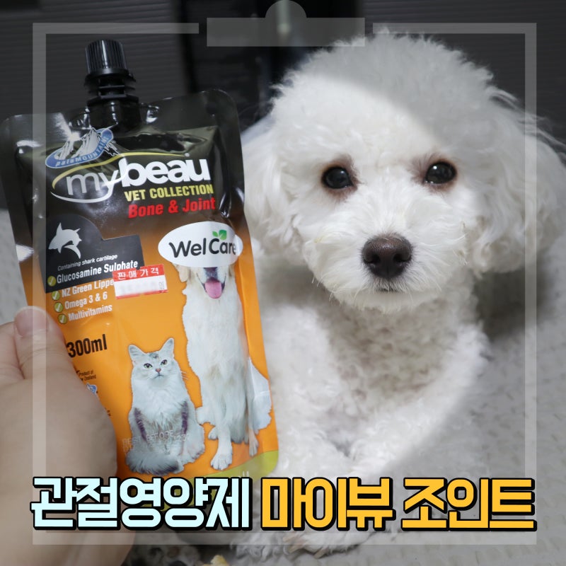 반려견관절영양제 짜먹는 마이뷰 조인트 관절 튼튼해!