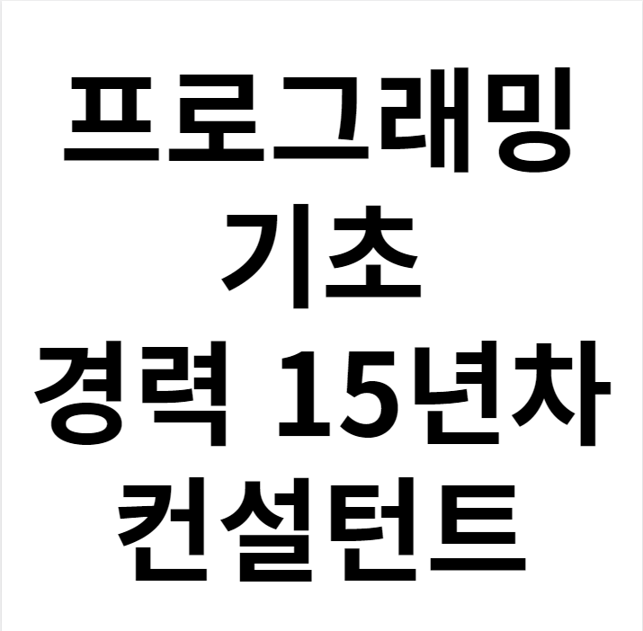 프로그래밍기초 한 달만에 배우는 방법 프로그래밍기초 한 달만에 배우는 방법