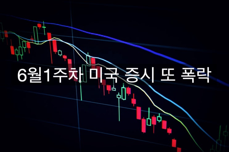 [인플레이션/미국주식폭락] 2022년 6월 1주차 미국증시의 지속되어온 또 다른 폭락
