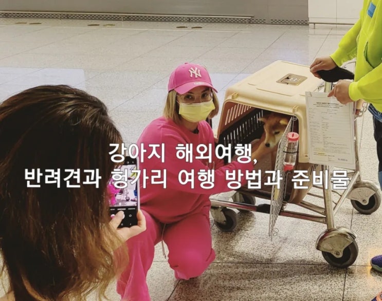  강아지 해외여행, 반려견과 헝가리 여행 방법과 준비물