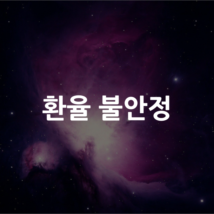  환율 불안정의 원인과 해결방안 l 금융논술 연습